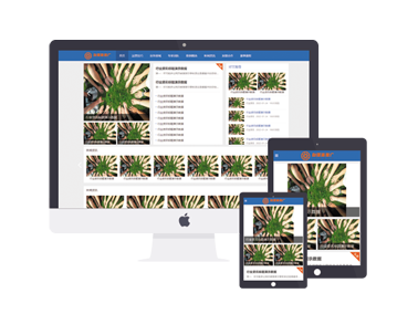 蓝色门户型自适应地方新闻行业资讯类迅睿主题模版下载